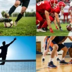 sportovi